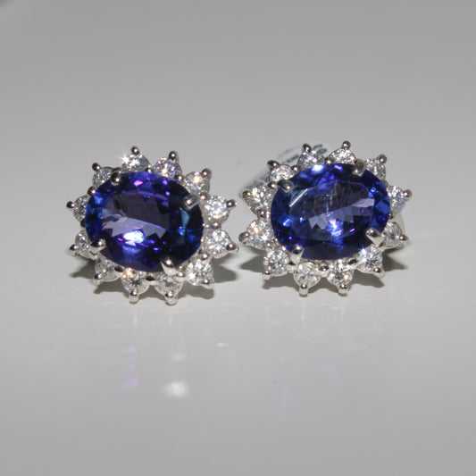 Tanzanite Stud Earrings